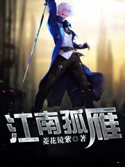  江南孤雁